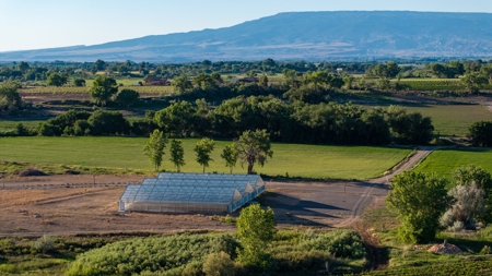 Berkeley Estate Cellars – A Premier Colorado Winery - image 47