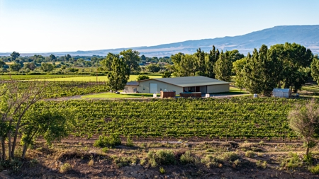 Berkeley Estate Cellars – A Premier Colorado Winery - image 44