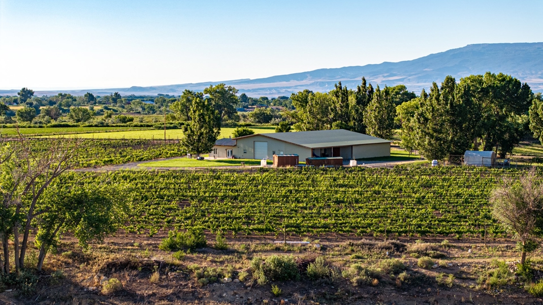 Colorado Winery for Sale