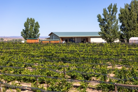 Berkeley Estate Cellars – A Premier Colorado Winery - image 29