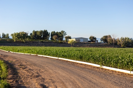 Berkeley Estate Cellars – A Premier Colorado Winery - image 5