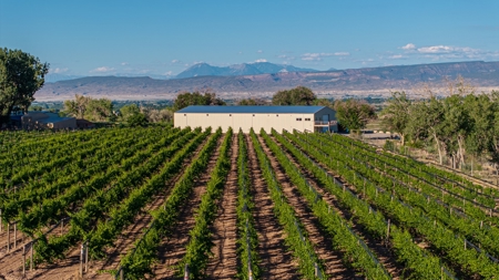 Berkeley Estate Cellars – A Premier Colorado Winery - image 46