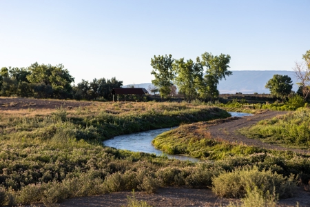 Berkeley Estate Cellars – A Premier Colorado Winery - image 4