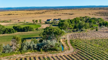 Berkeley Estate Cellars – A Premier Colorado Winery - image 41