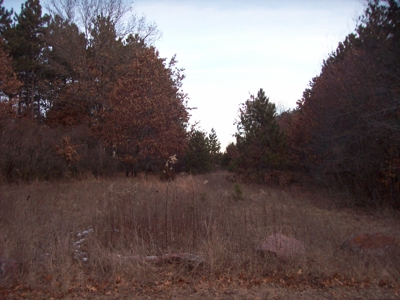 Beautiful Lake Petenwell View Buildable Lot - image 9