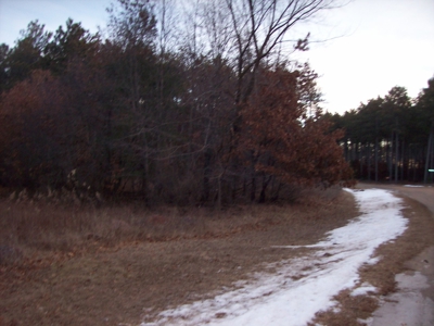 Beautiful Lake Petenwell View Buildable Lot - image 7