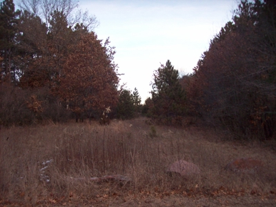 Beautiful Lake Petenwell View Buildable Lot - image 8
