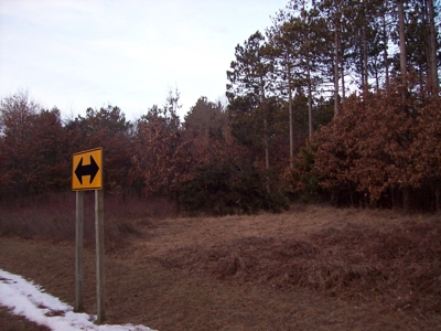 Beautiful Lake Petenwell View Buildable Lot - image 4
