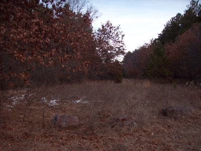 Beautiful Lake Petenwell View Buildable Lot - image 6