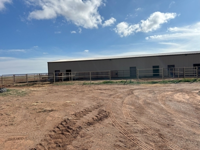 Horse Property For Sale in Tucumcari, New Mexico! - image 14