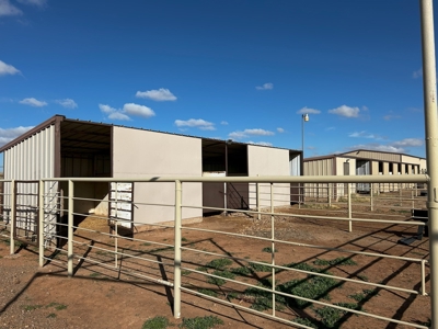 Horse Property For Sale in Tucumcari, New Mexico! - image 12