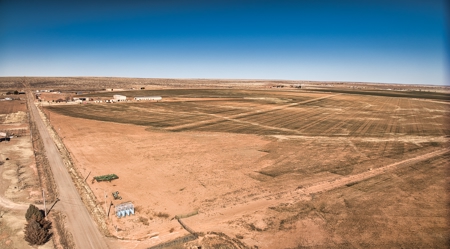 Horse Property For Sale in Tucumcari, New Mexico! - image 7