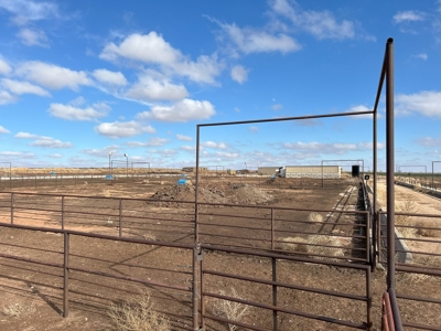 Horse Property For Sale in Tucumcari, New Mexico! - image 9