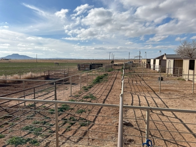Horse Property For Sale in Tucumcari, New Mexico! - image 13