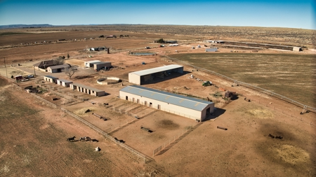 Horse Property For Sale in Tucumcari, New Mexico! - image 4