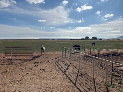Horse Property For Sale in Tucumcari, New Mexico! - image 11