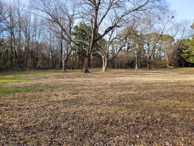 New 2024 Country Home For Sale, Woodland TX, Red River Co TX - image 5