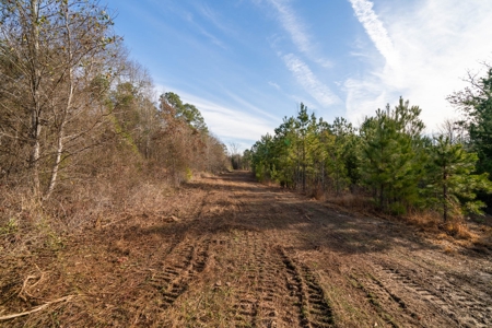 Gorgeous Country Acreage with Timber in Hallsville, Texas - image 13