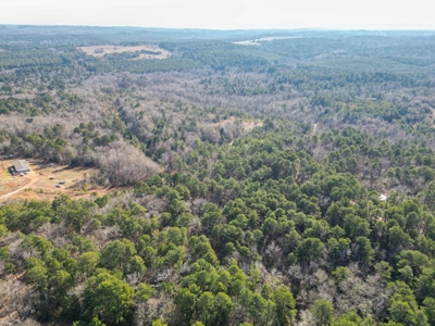 Gorgeous Country Acreage with Timber in Hallsville, Texas - image 18