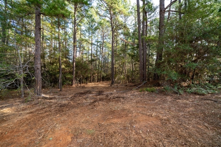 Gorgeous Country Acreage with Timber in Hallsville, Texas - image 24