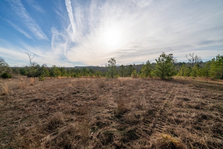 Gorgeous Country Acreage with Timber in Hallsville, Texas - image 10