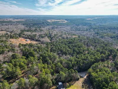 Gorgeous Country Acreage with Timber in Hallsville, Texas - image 19