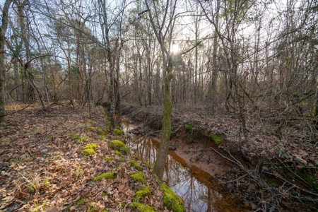 Gorgeous Country Acreage with Timber in Hallsville, Texas - image 15
