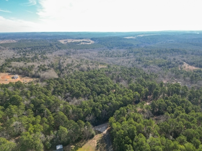 Gorgeous Country Acreage with Timber in Hallsville, Texas - image 7