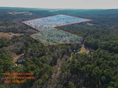 Gorgeous Country Acreage with Timber in Hallsville, Texas - image 2
