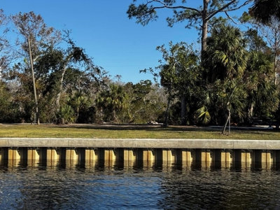 Suwannee Lot on FRESHWATER CANAL! - image 1