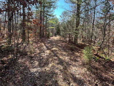 Acreage For Sale in Evensville, TN! - image 11