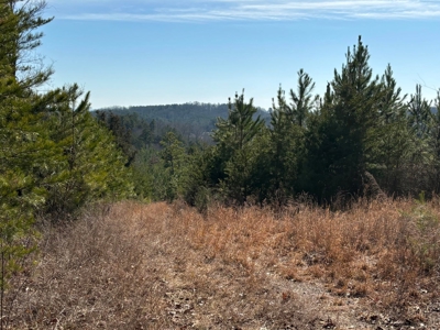 Acreage For Sale in Evensville, TN! - image 1