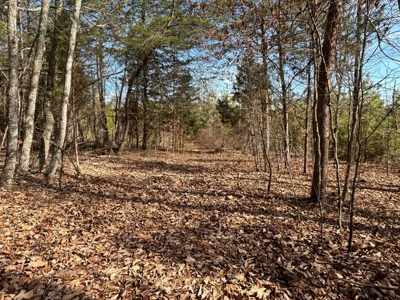 Acreage For Sale in Evensville, TN! - image 26