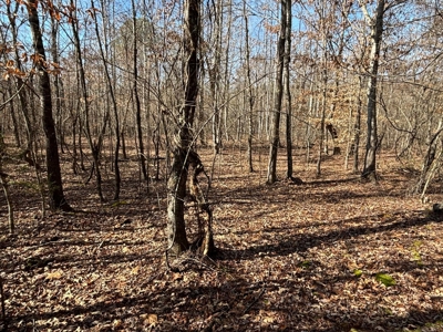 Acreage For Sale in Evensville, TN! - image 24