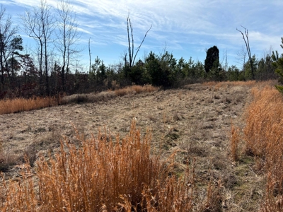 Acreage For Sale in Evensville, TN! - image 25