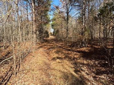Acreage For Sale in Evensville, TN! - image 12