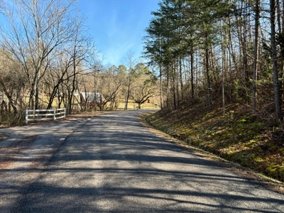 Acreage For Sale in Evensville, TN! - image 3