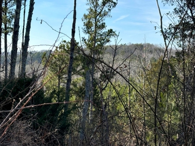 Acreage For Sale in Evensville, TN! - image 5