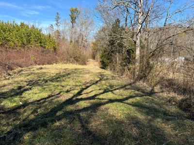 Acreage For Sale in Evensville, TN! - image 20