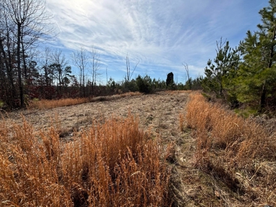 Acreage For Sale in Evensville, TN! - image 21