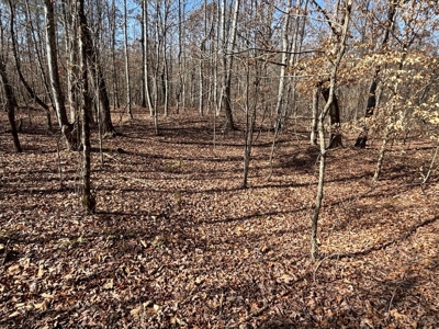 Acreage For Sale in Evensville, TN! - image 22