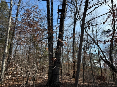 Acreage For Sale in Evensville, TN! - image 18