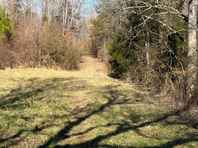 Acreage For Sale in Evensville, TN! - image 13