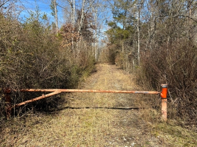 Acreage For Sale in Evensville, TN! - image 23