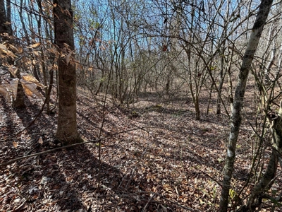 Acreage For Sale in Evensville, TN! - image 10