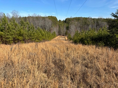Acreage For Sale in Evensville, TN! - image 14