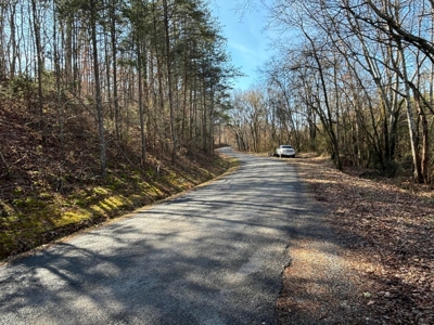 Acreage For Sale in Evensville, TN! - image 2