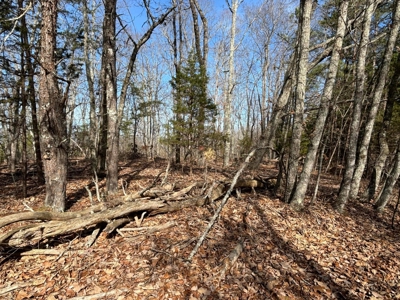 Acreage For Sale in Evensville, TN! - image 19