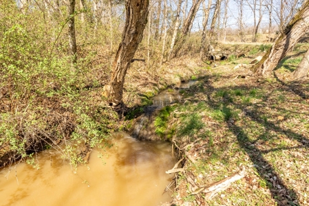 Hobby Farm for Sale in Oregon County Missouri - image 23