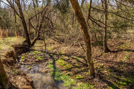 Hobby Farm for Sale in Oregon County Missouri - image 24